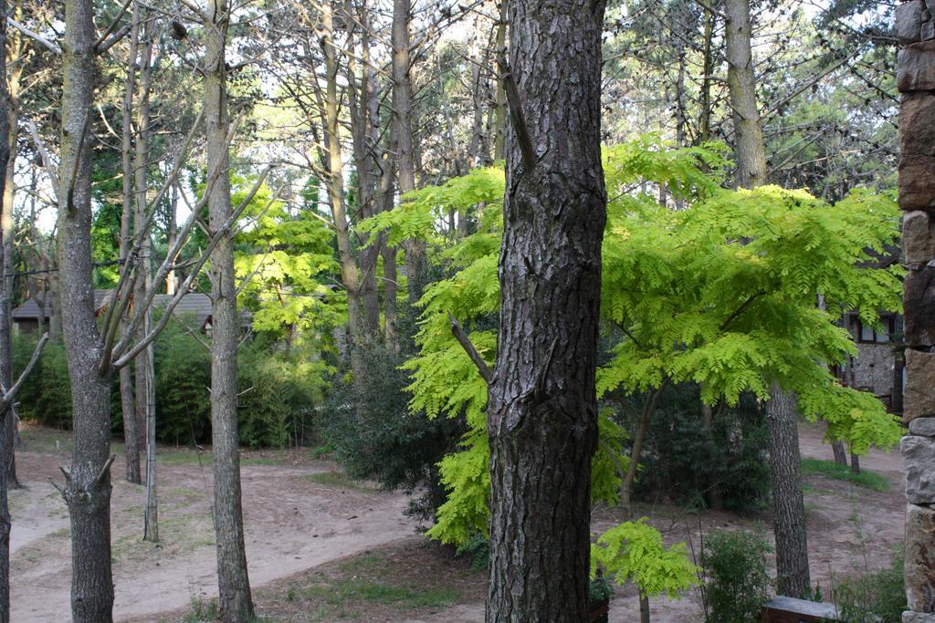 Cabanas Hurra Pampa Mar de Las Pampas Exteriör bild