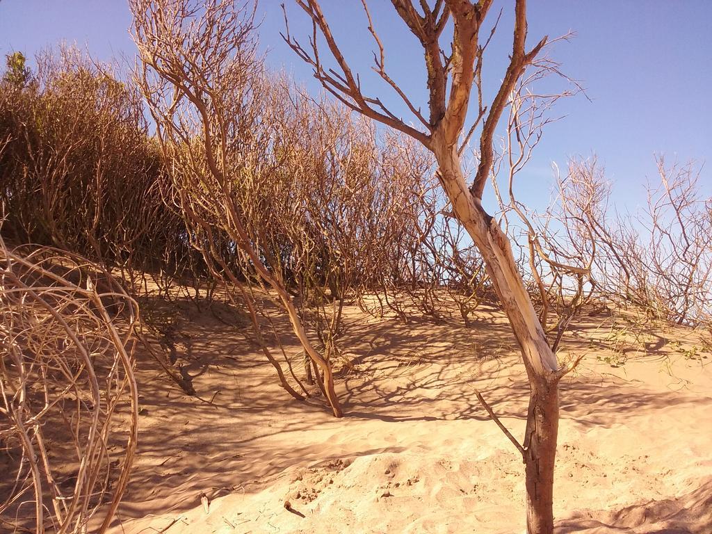 Cabanas Hurra Pampa Mar de Las Pampas Exteriör bild